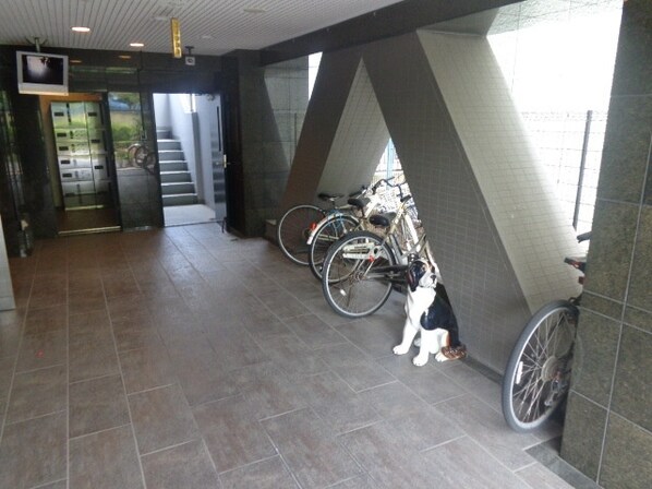 トランスパレントの物件内観写真